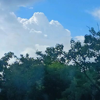 blue🍀