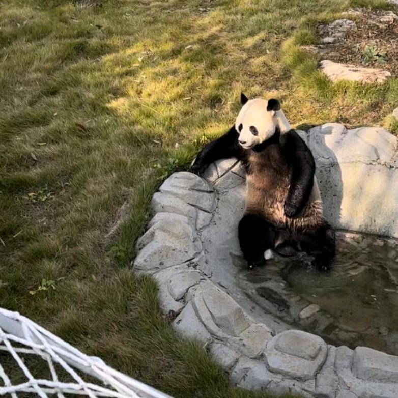 没头脑和不高兴