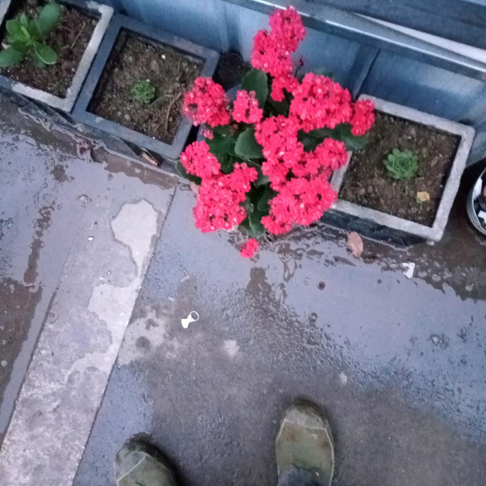 三点水
