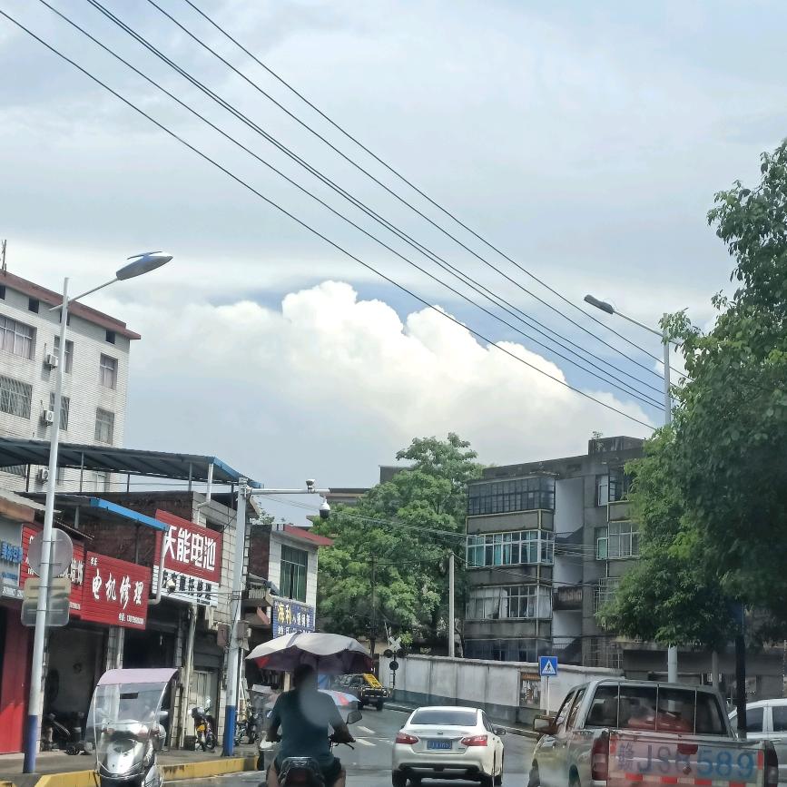 小刘亦菲