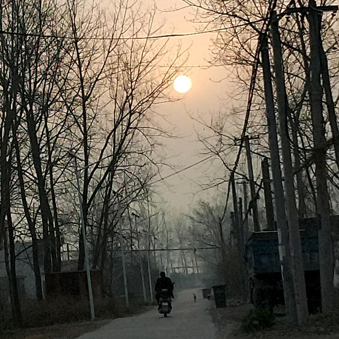雨后的小太阳