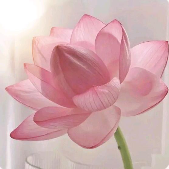 似水流年