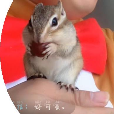 你笑起来真好看
