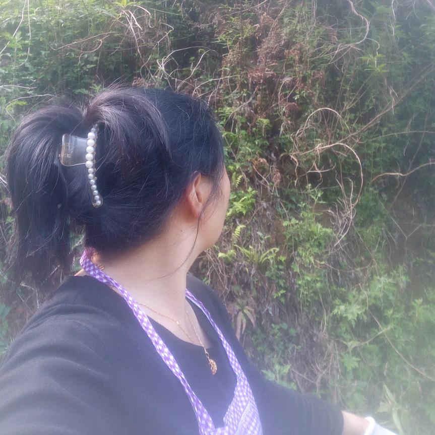 明天张
