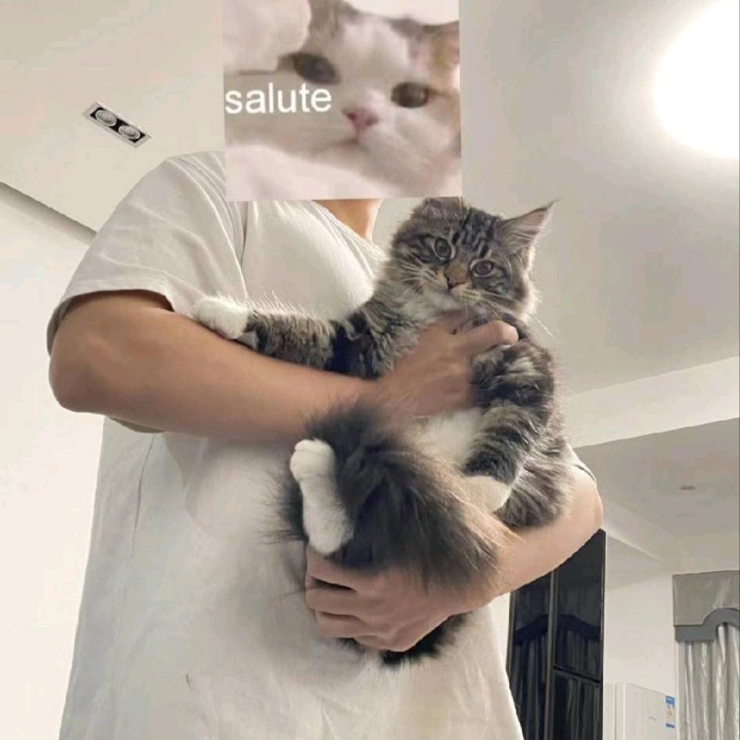 阿界