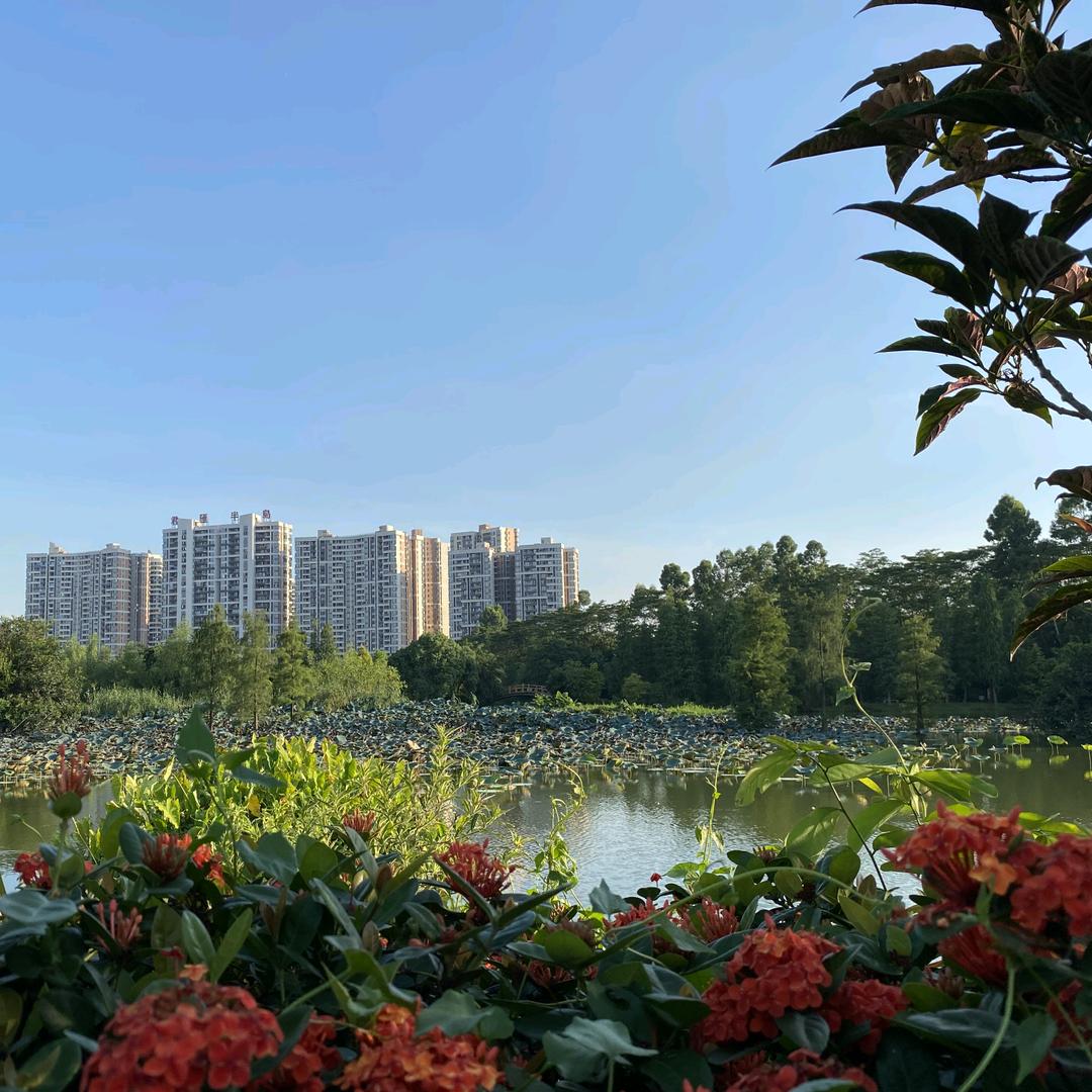 糖溶液头像
