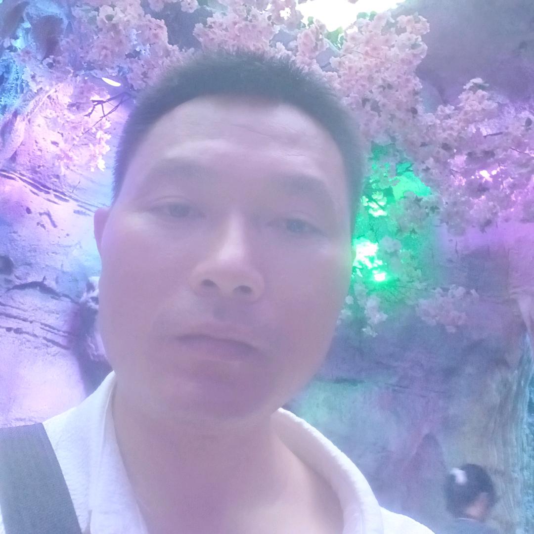 齐增智