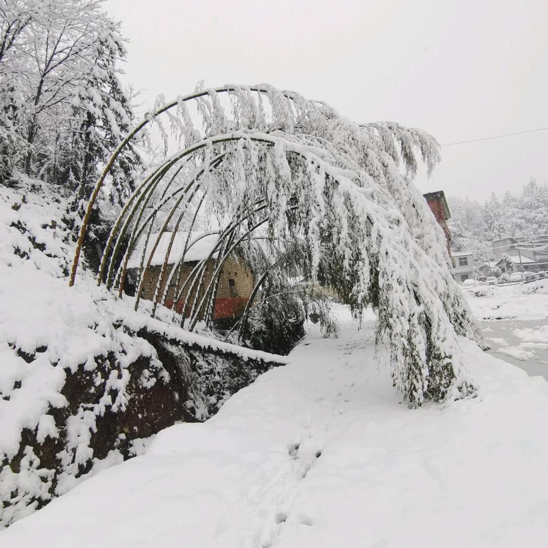 人的一生就像一场梦
