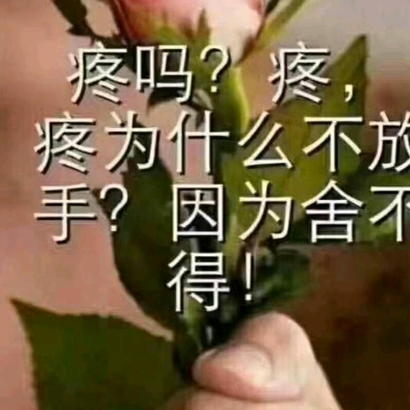 单身人好寂寞