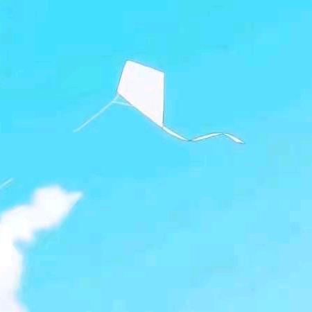 柳啊柳