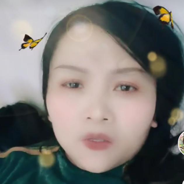 明月如是