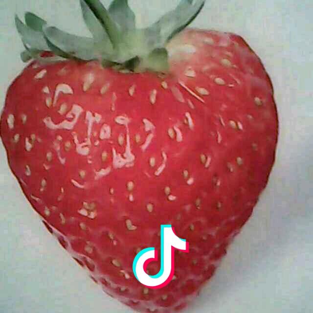 伟哥
