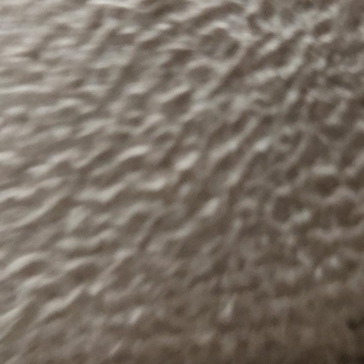 用户6343998162876
