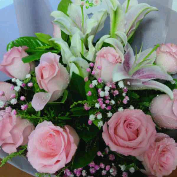 陈姐🌹🌹🌹