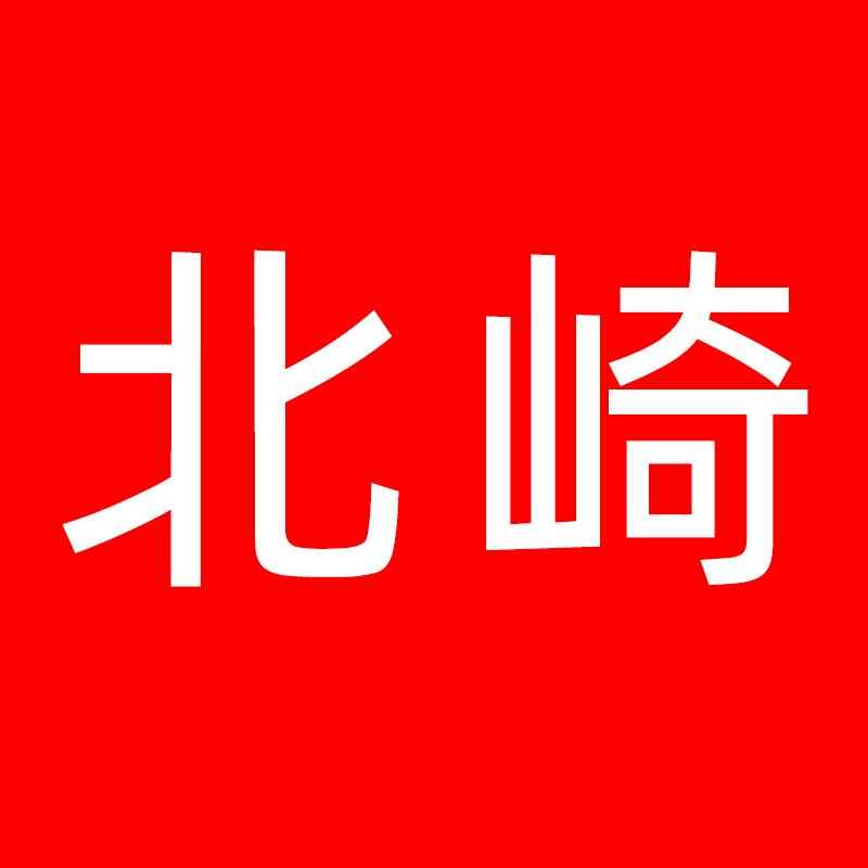 北崎电气