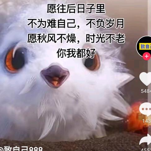 暖阳