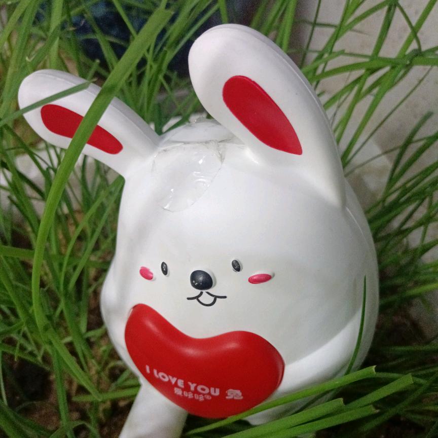 大白兔乐乐