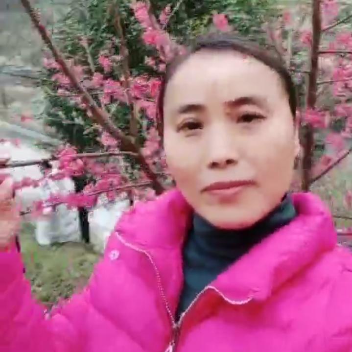 给我一双梦想的翅膀