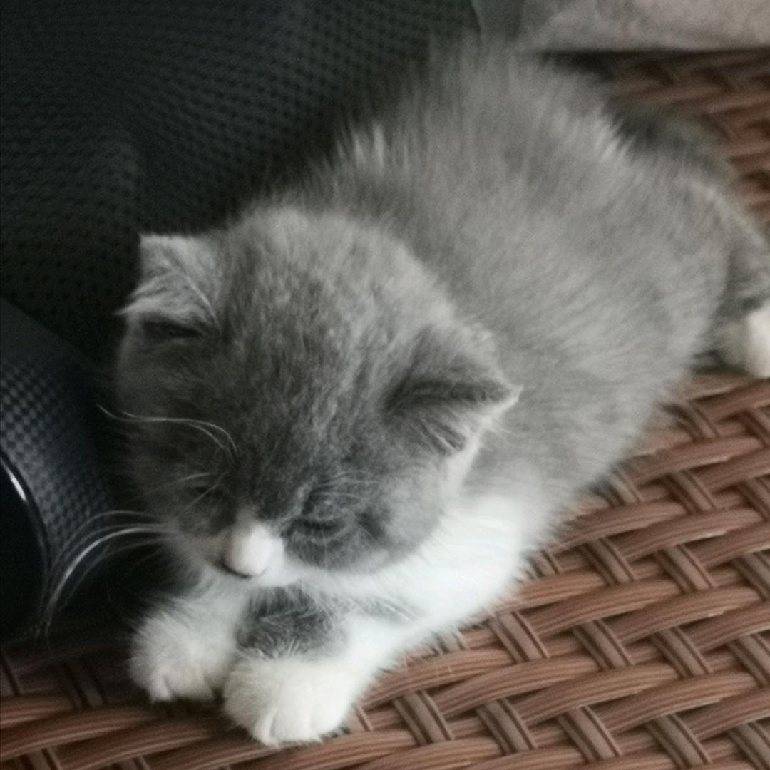 早睡早睡