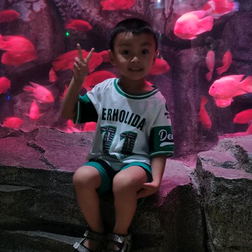 顺其自然一切随缘！