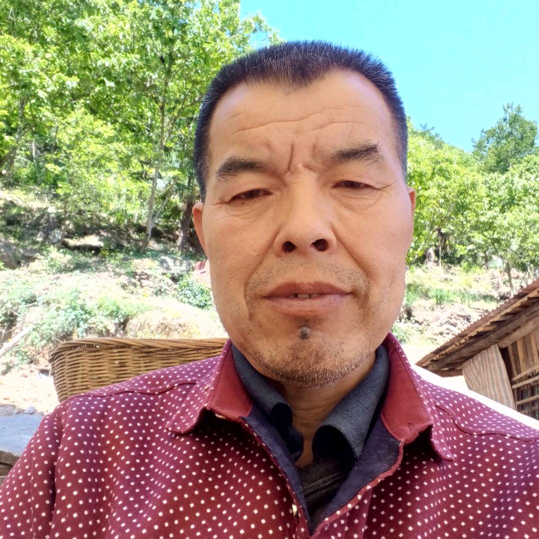 ，余生感悟！63年兔(世太炎凉)真(伪)