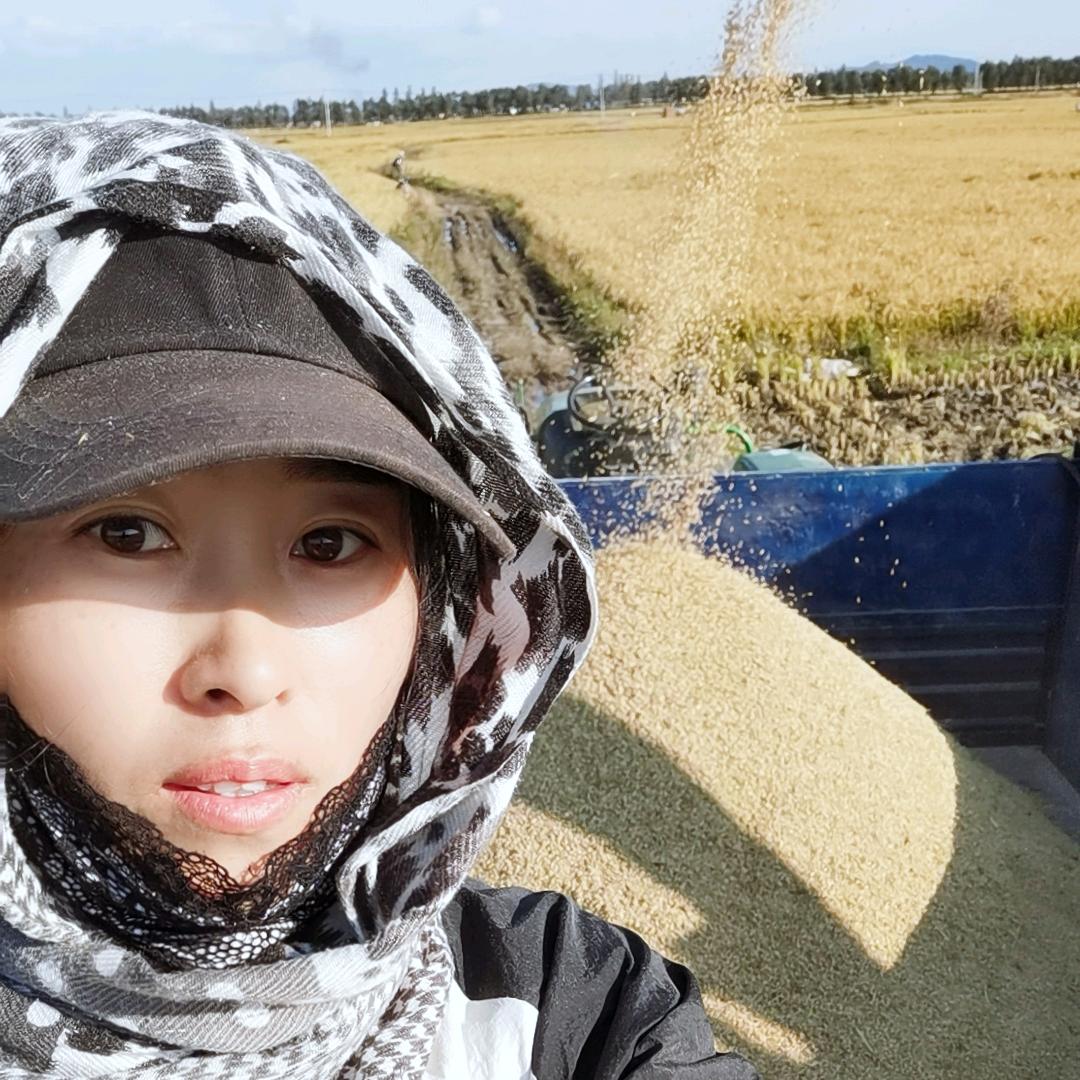 五常大米稻米香娜姐