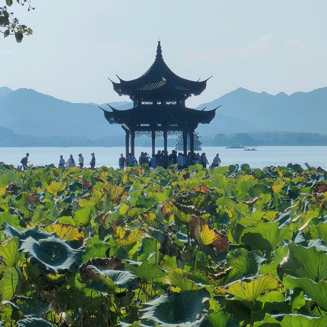 王后余生卞是你