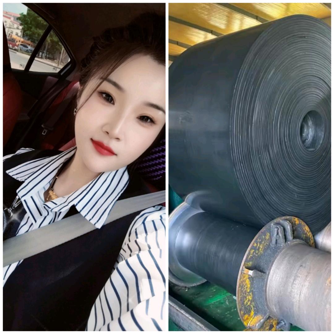 厂家直销输送带、托辊（小宁）