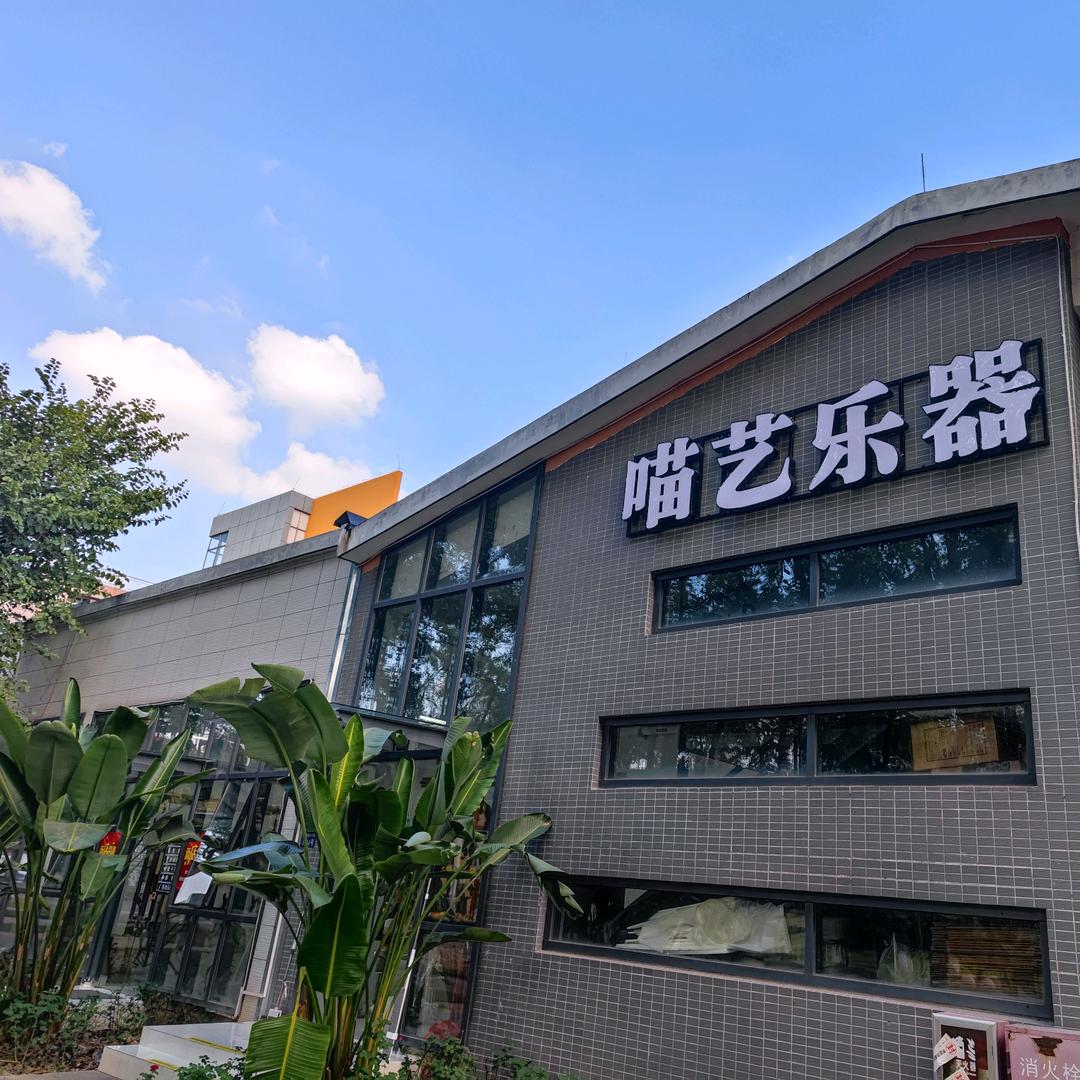 喵艺乐器专营店
