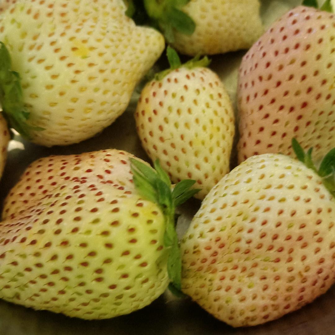 菏泽开发区英都蛋糕店