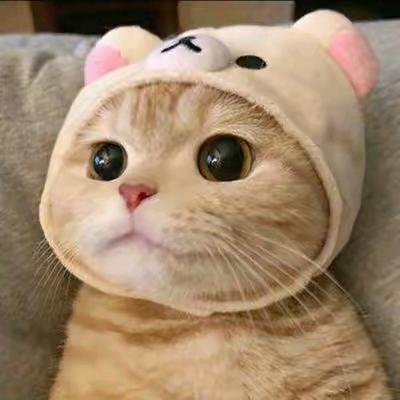 遇见～～～～