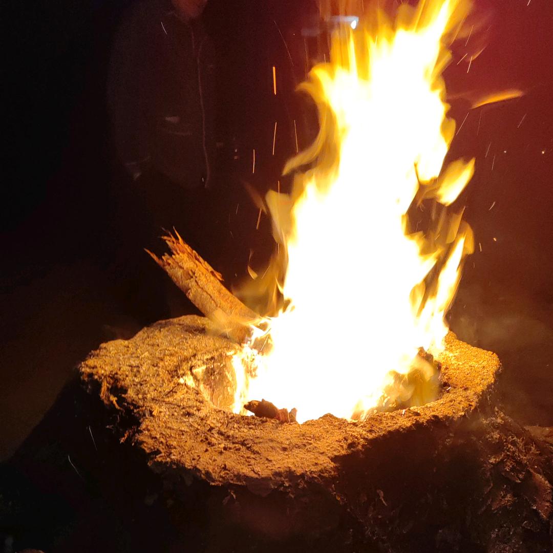 多财￥多亿(●—●)