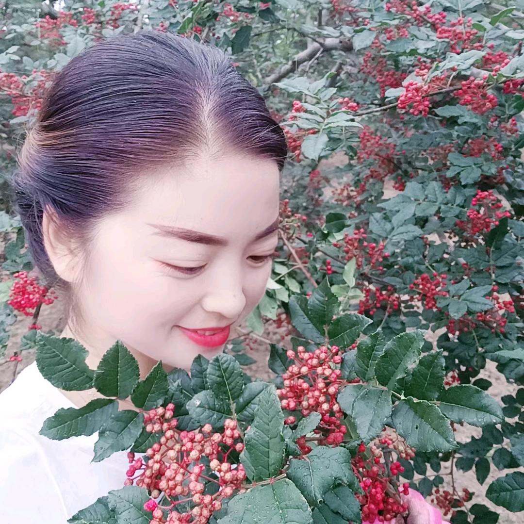 陇南花椒妹