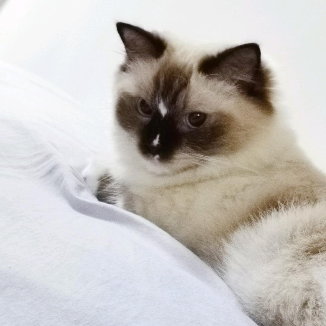 木唯韵