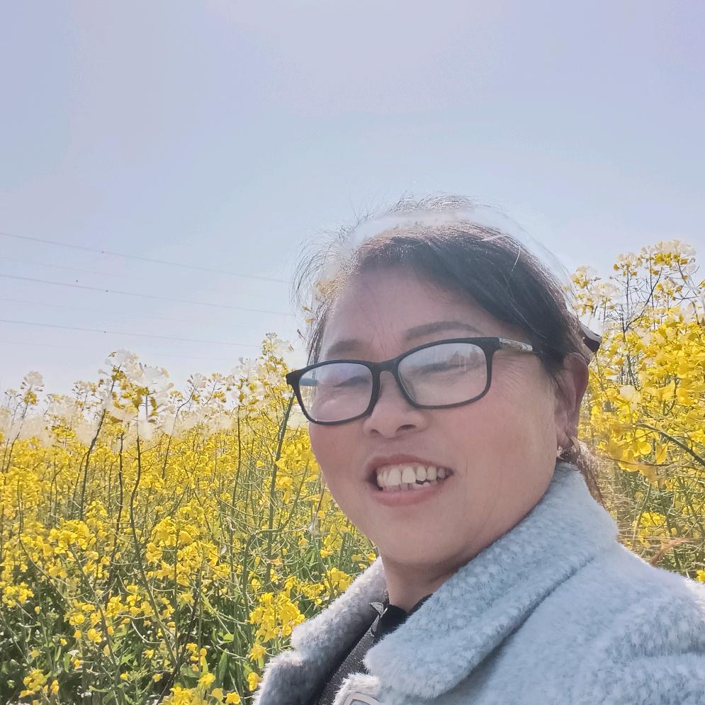 春花秋月