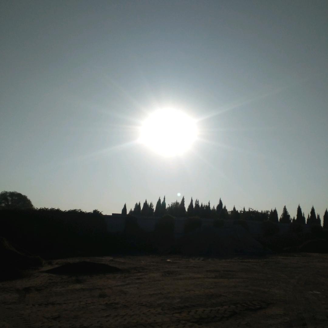 晴天无花果采摘