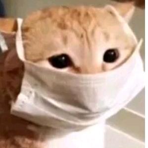 狗屎鹿鹿（航天微波炉版）