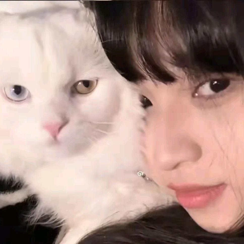 是小劉呀