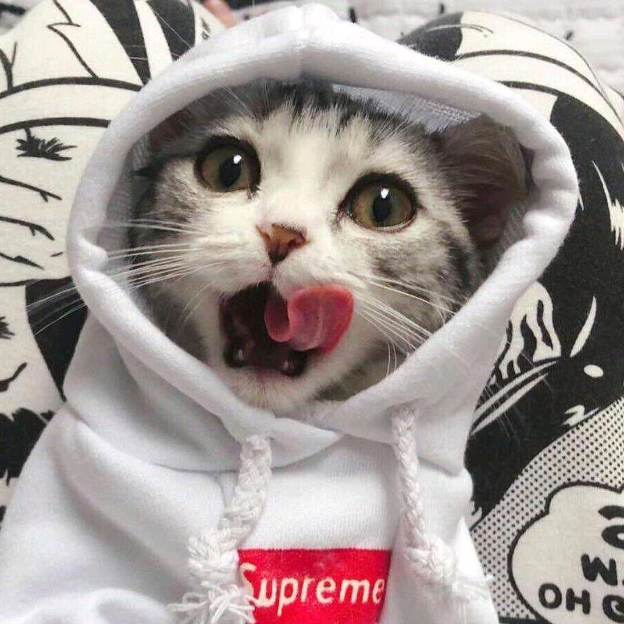 御弟哥哥