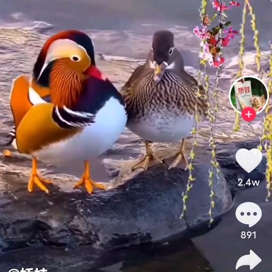 不抽烟，不喝酒，不赌，钓鱼人🎣🎣，单