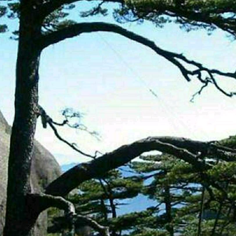龙祥物流