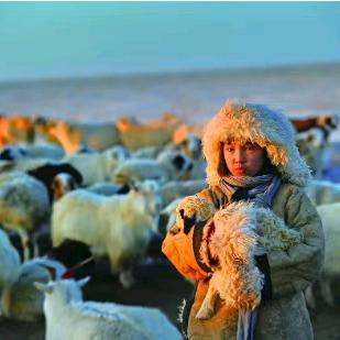 浩博尔（生态牧场）