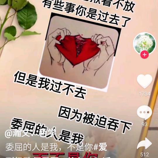 陈心❤️如意
