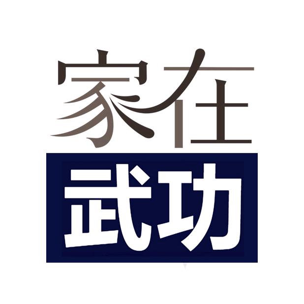 家在武功