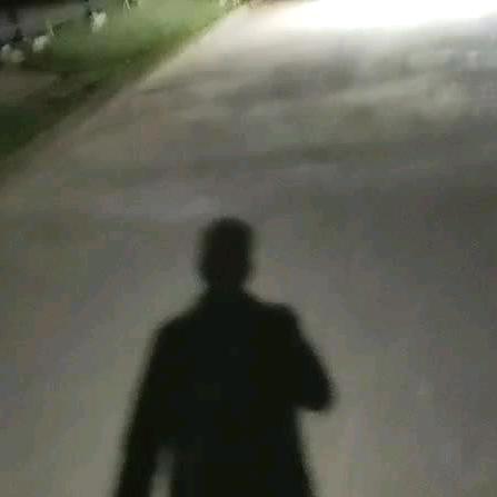 仔仔