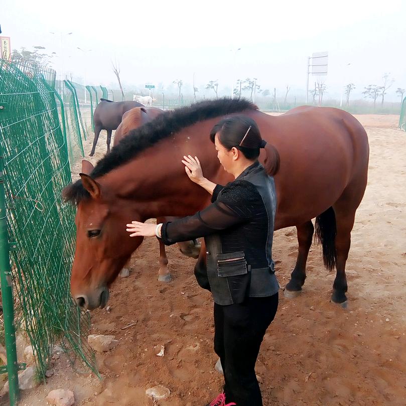 诗情画意(72鼠🐭)