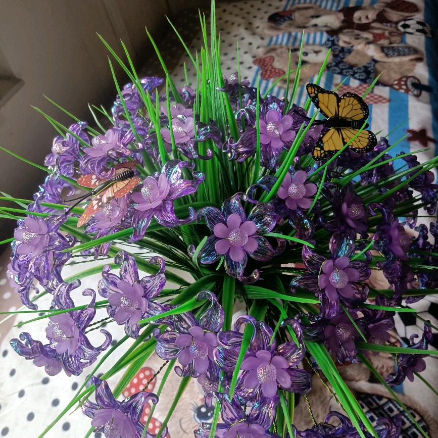 艳艳，一切随缘