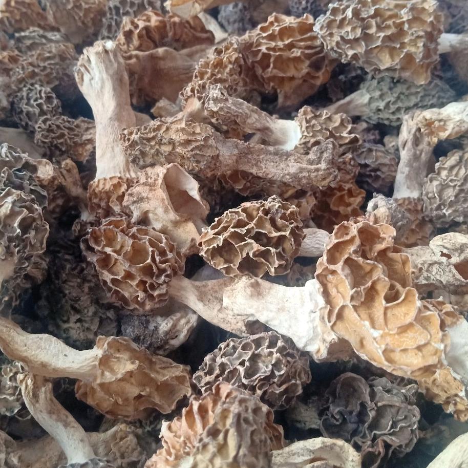 刘邦汉