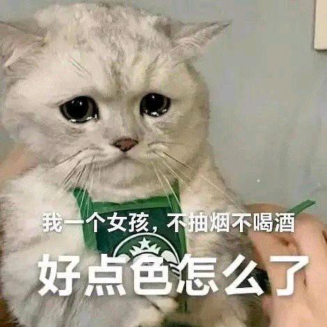 咖啡豆豆