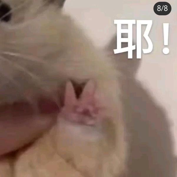 xxx头像
